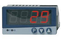 Digitales Anzeigegeinstrument