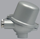 Anschlusskopf Form BUZ-HD mit 2 Kabelverschraubungen