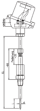 Widerstandsthermometer ATEX II2G Ex ia IICT3