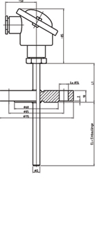 Flansch-Widerstandsthermometer